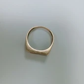 Ghiul proba 585 masa 5.52