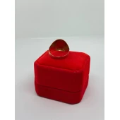 Ghiul Din Aur Proba 583* 4.67 gr