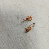 Cercei Din Aur Proba 585* 2.82 gr