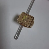 Ghiul Din Aur Proba 585* 11.70 gr