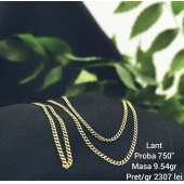 Lant  750" 9.54gr  22016 lei