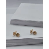 Cercei Din Aur Proba 585* 1.88 gr