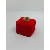 Ghiul Din Aur Proba 583* 4.67 gr