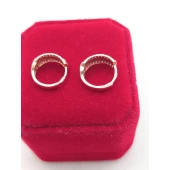 Cercei Din Aur Proba 585* 2.90 gr