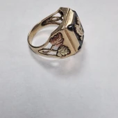 Ghiul Din Aur 375* 7.07 gr