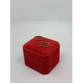 Cercei Din Aur Proba 585 2.71gr