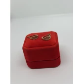 Cercei Din Aur Proba 585 2.48gr