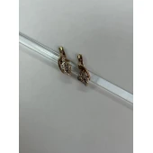 Cercei Din Aur Proba 585* 2.62 gr