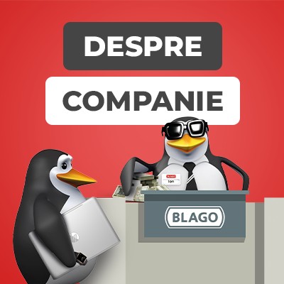 Despre companie